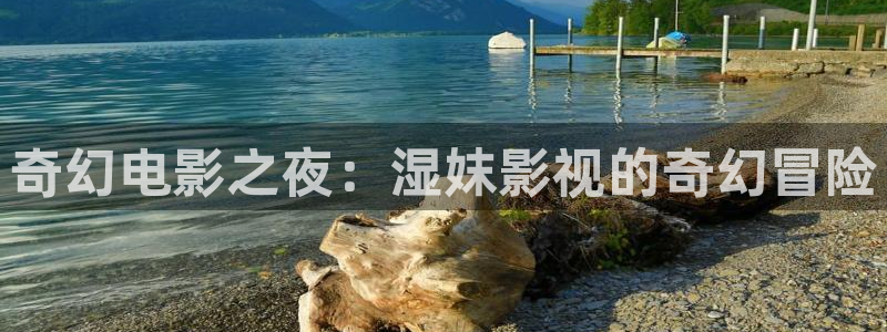 金牌影院劇入口