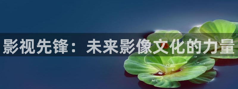 金牌銷售電影免費觀看全集高清